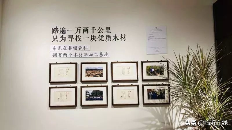 尽显东方气韵！东家“花梨院子”“七号檀院”惊艳临沂怡景丽家