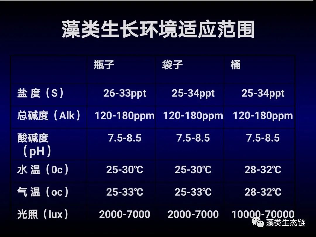 藻类培养课程视频教程,海南藻类生态链