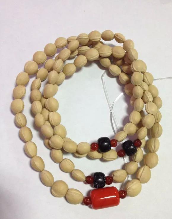 吃剩的水果核不要丢弃,吃剩的樱桃籽能种吗