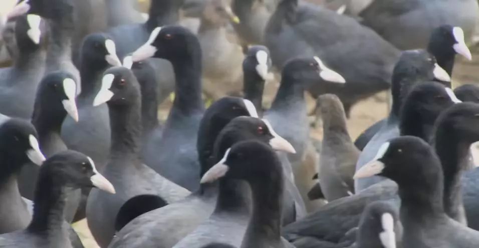 农产品销路案例大全,农产品怎么做才不愁销路