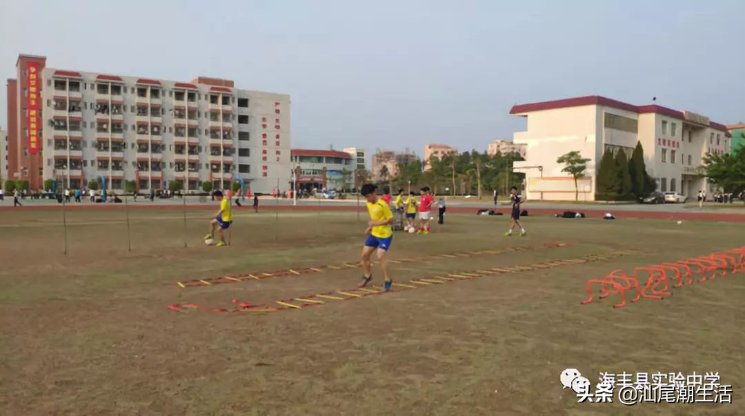 海丰实验中学特长生招生情况,海丰县特长生招生