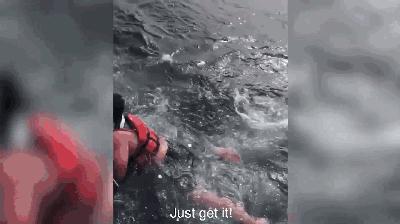 救助搁浅海洋动物,如果遇到海洋生物危险该怎么办