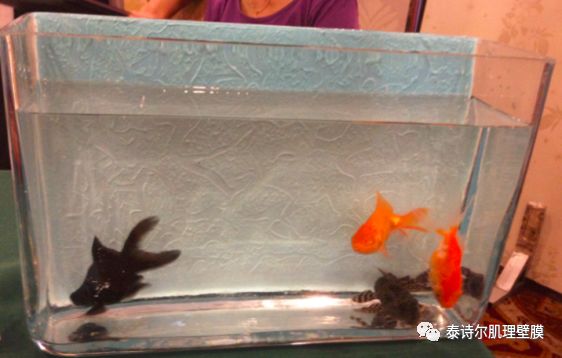 旧墙翻新太头疼？泰诗尔帮你一步解决墙面烦恼！