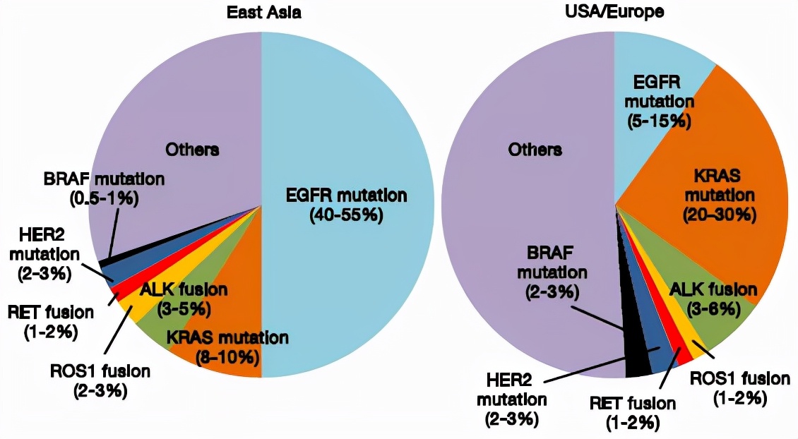 驱动基因阳性iii期肺癌治疗指南,基因检测阳性靶向治疗