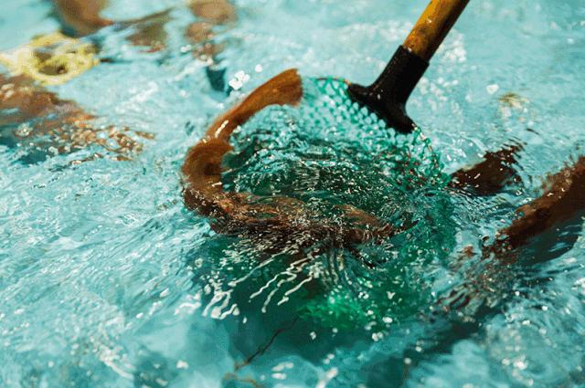 便宜平价美味海鲜,平价海鲜上海