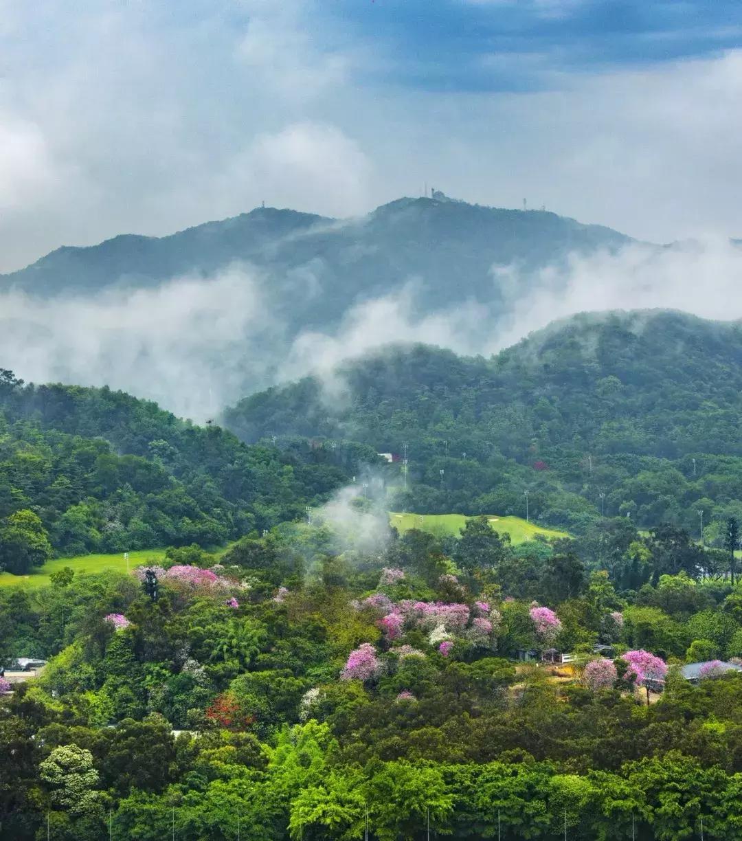重阳登高的十大禁忌,重阳登高避灾