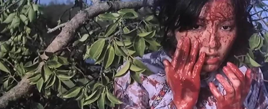 冷门cult片,盘点十大cult片