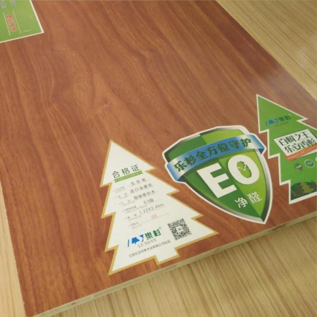 新房防甲醛买什么植物,新房甲醛克星植物