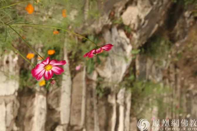 命运变好最简单的方法,让命变好又得福报的7条秘法