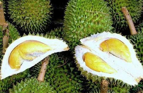 四季应季水果蔬菜,一年四季的时令蔬菜水果