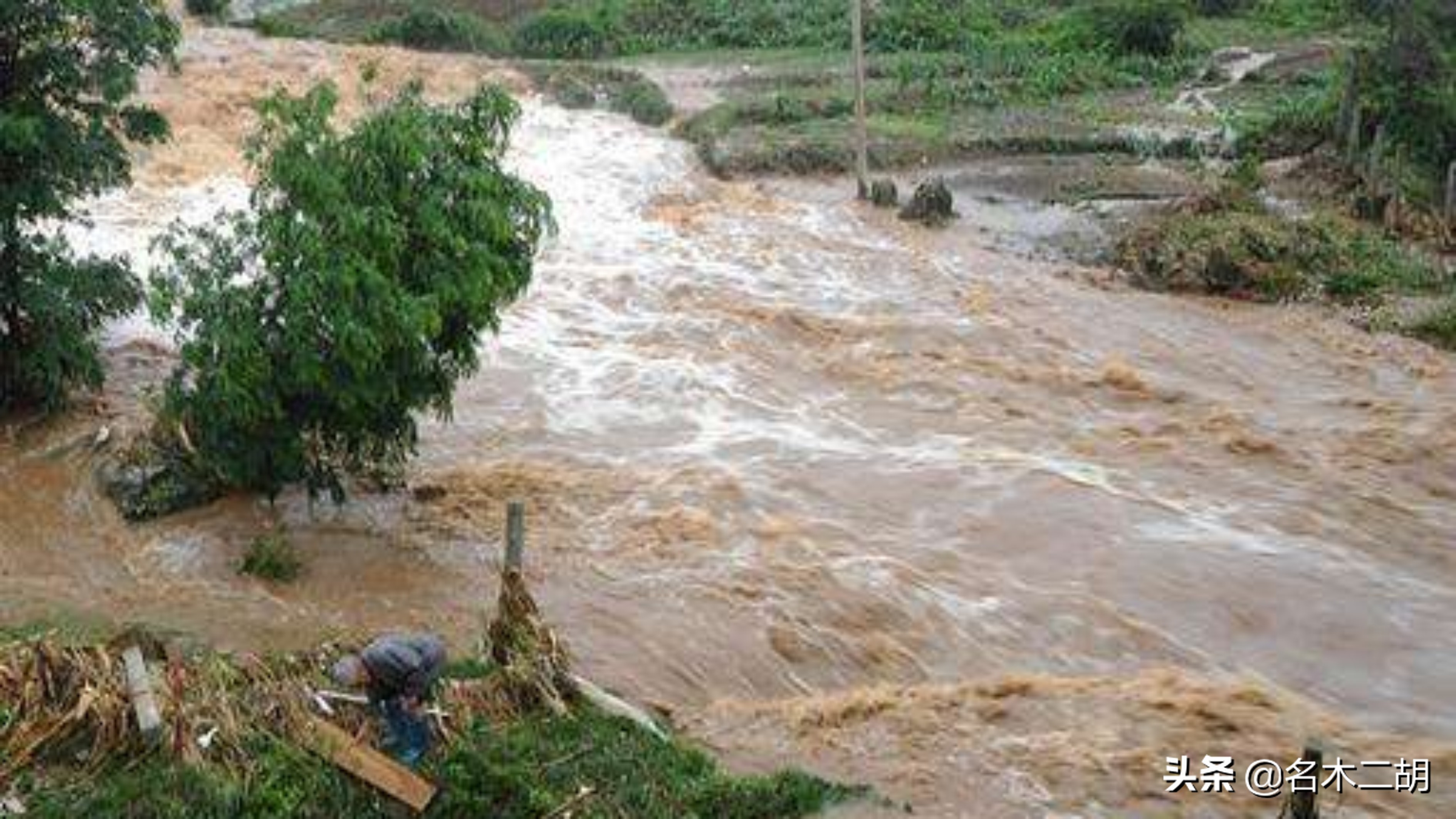 香樟阴沉木和金丝楠阴沉木的区别,金丝楠木阴沉木和非阴沉木哪个香