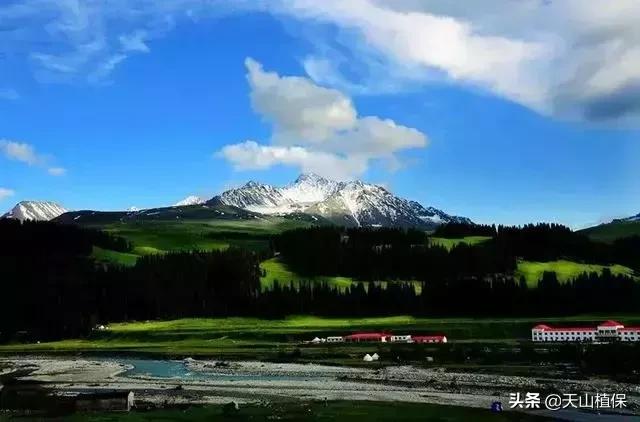 大美新疆百里画廊,北疆千里画廊打卡点