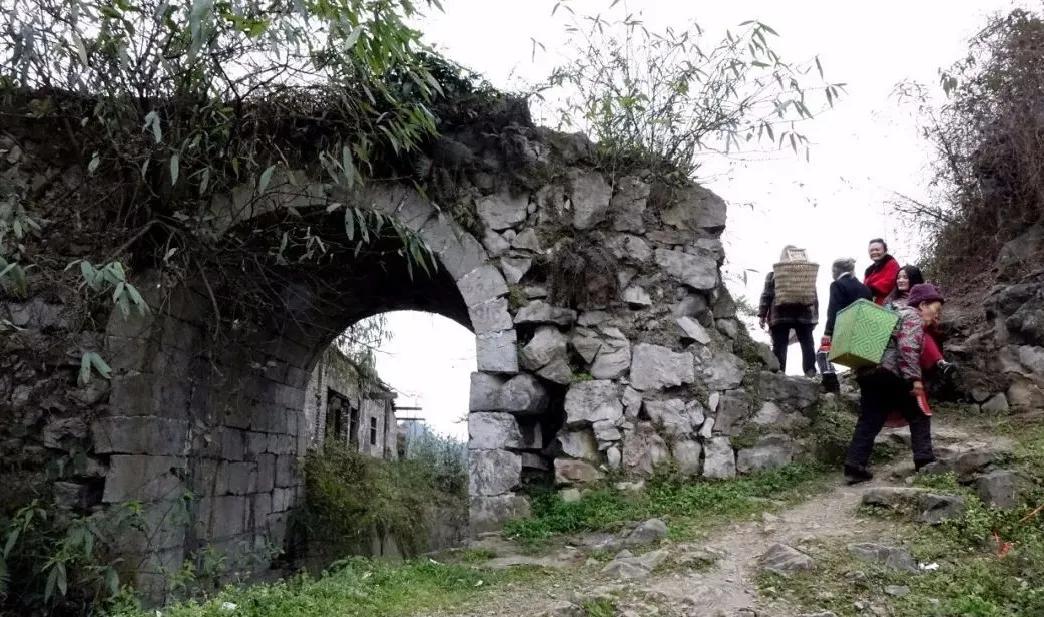 瀹滃鍙ら亾,涓夋睙椋庣墿