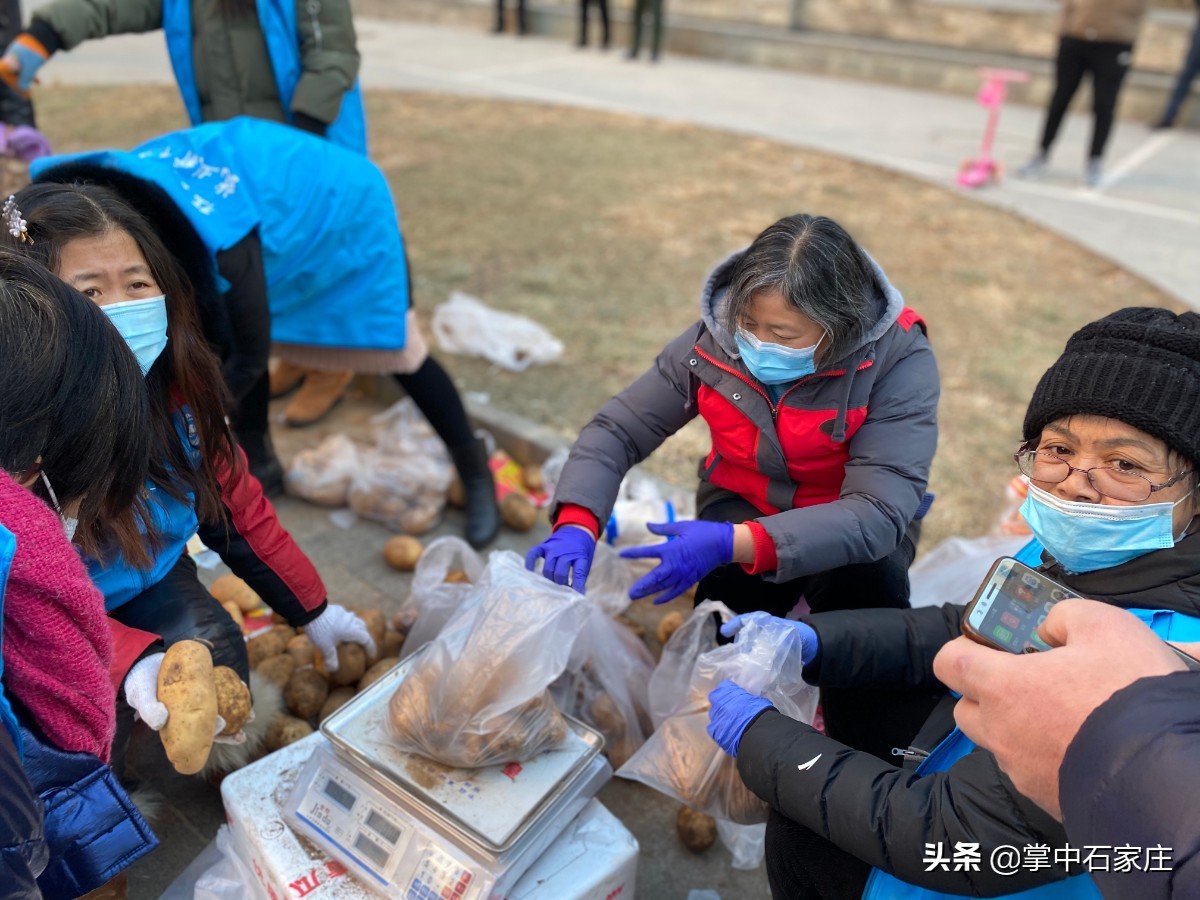 将生活日用品送到家门口 石家庄社区物业志愿者联手保民生