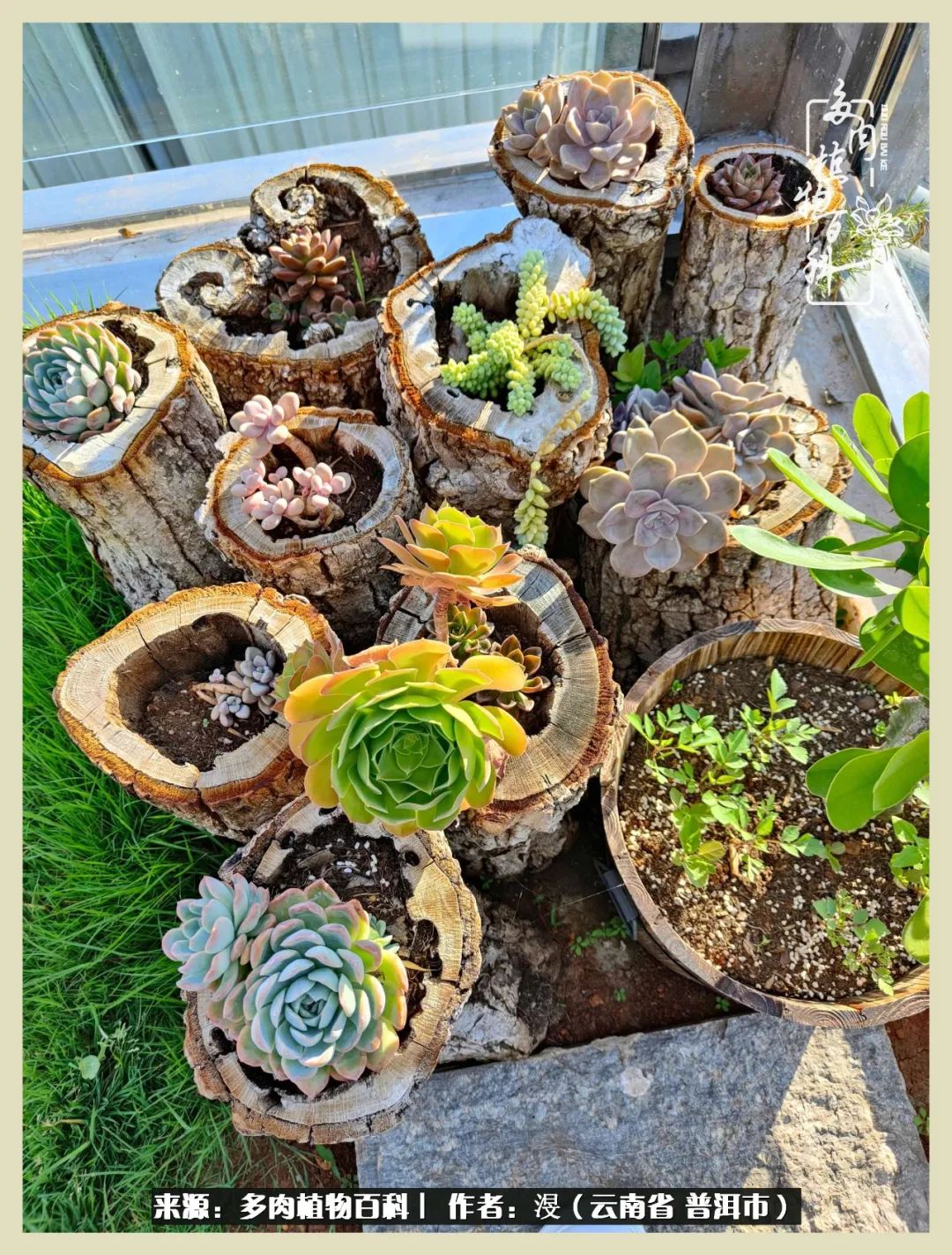 深情不及久伴,厚爱无需多言,择一“爱”,护一生