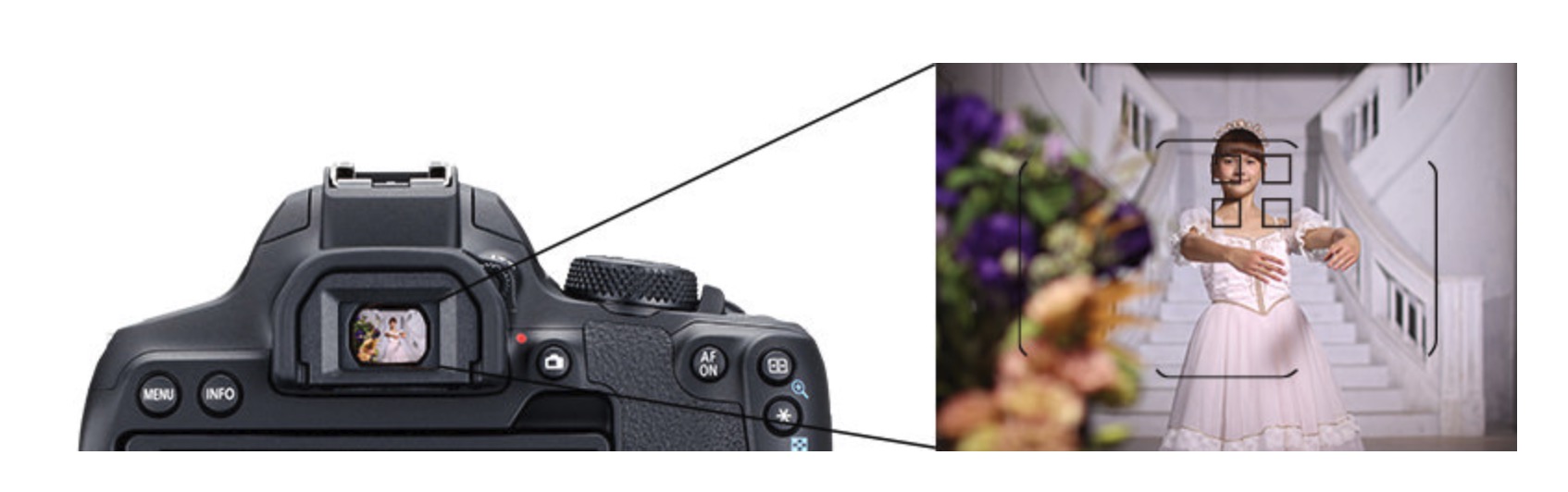 佳能eos850d什么档次,佳能eos850d调什么参数好看