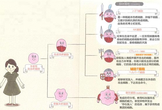 癌细胞免疫治疗原理图,细胞癌变怎么被身体拯救