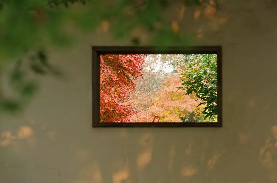 有了这份攻略,上海地铁直达景点