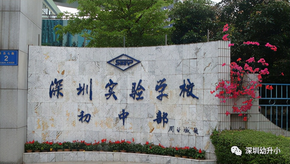 王炸组合2023排名,初中选科王炸组合