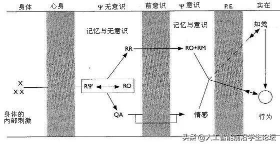 生物，AI，心理：目前的大脑/认知/意识/AGI/DRL模型