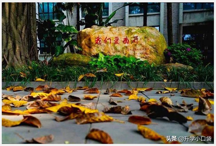 好消息！重庆这两所中学，成功入选“中国高中50强”