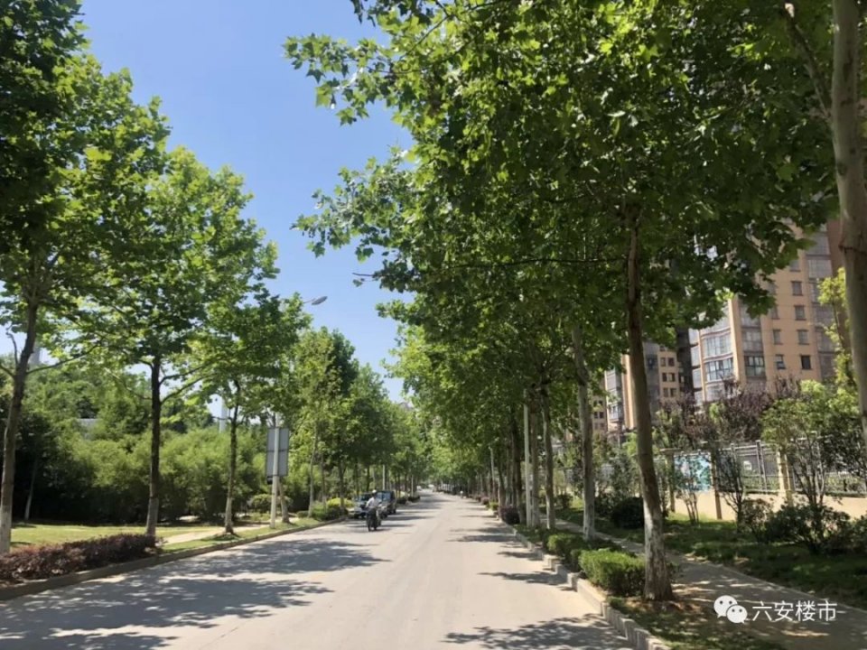 六安房价最贵的房子,六安十大最贵二手房小区曝光