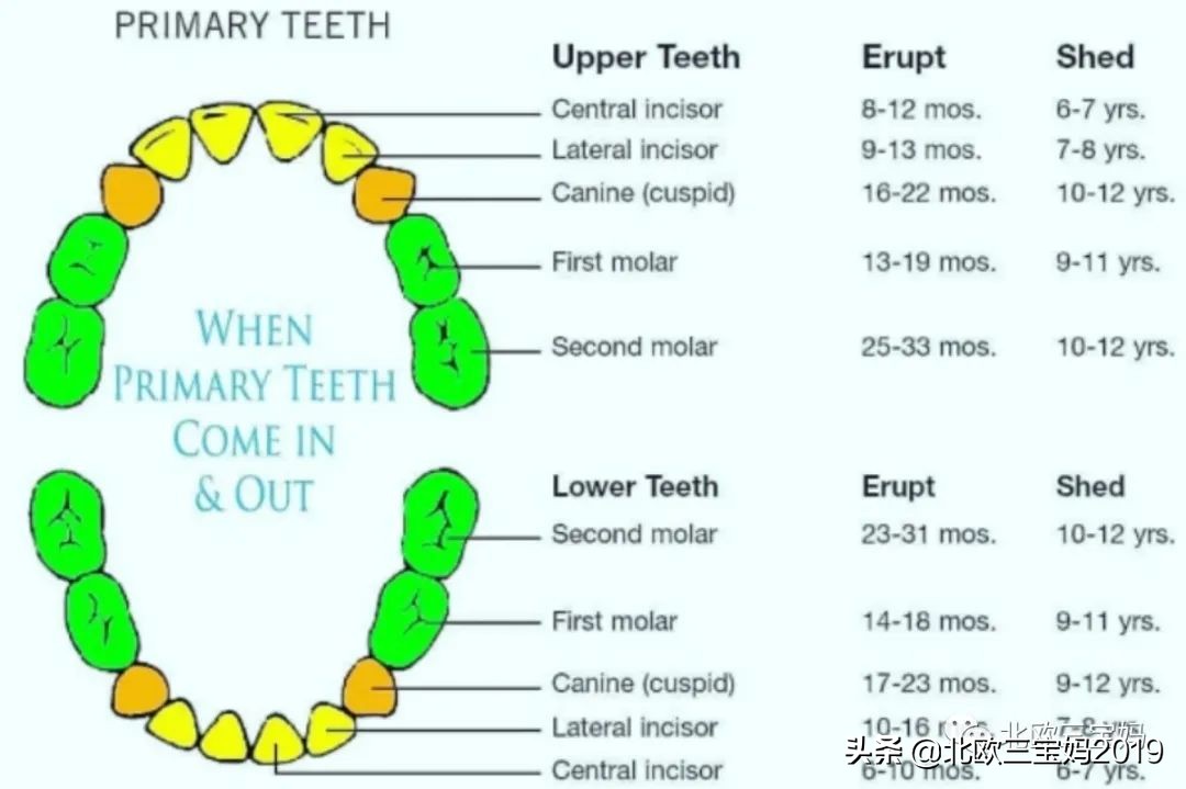 3岁儿童全麻做根管有影响吗,宝宝捆绑治疗蛀牙