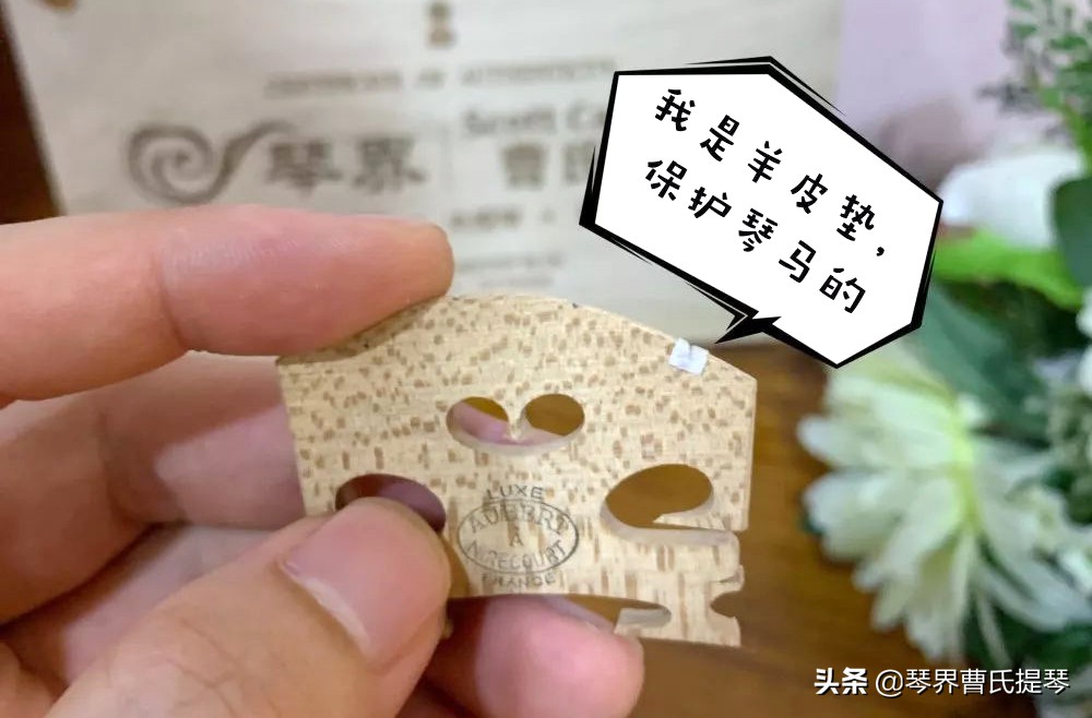 干货来了音频,干货来了单音加和弦练习追梦人