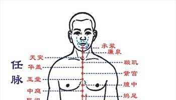 穴位鸠尾穴,腧穴之道鸠尾穴