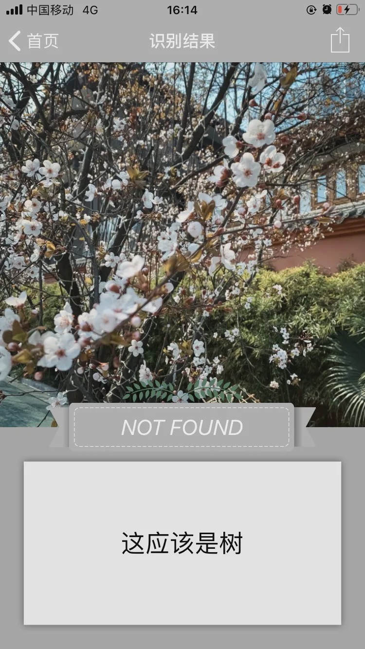 哪个识花软件最好用,识花app免费的哪个好