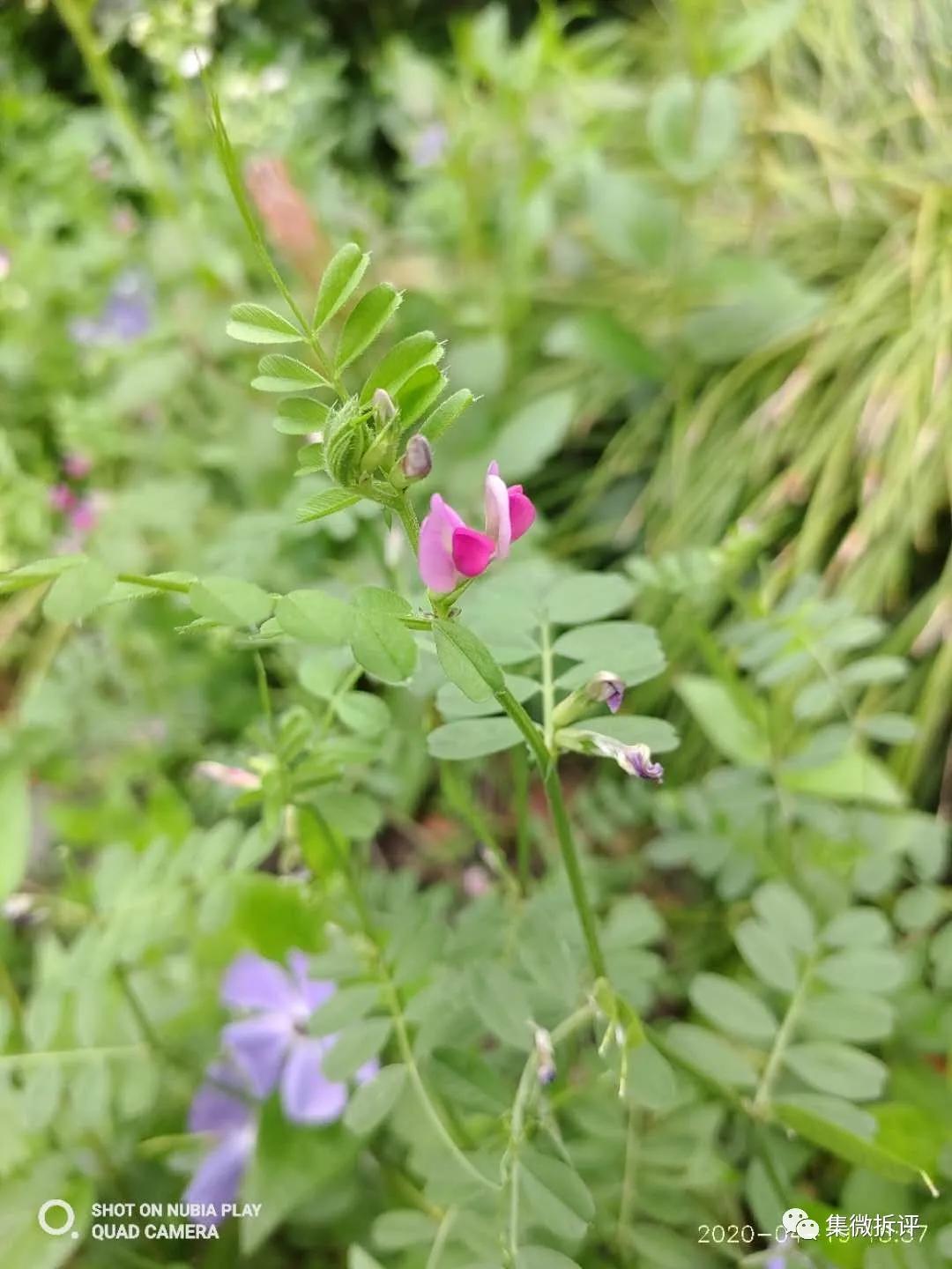 努比亚play和红米note10pro哪个好,努比亚play详细细节测评