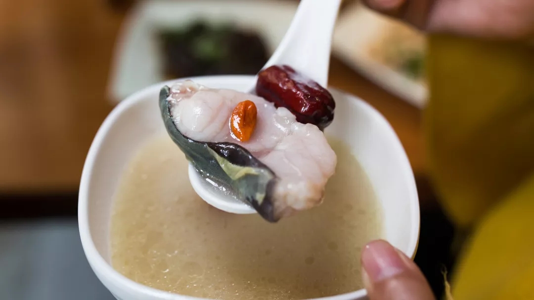 鱼品记蒸汽石锅鱼抖音团购券,西昌美食攻略鱼品记蒸汽石锅鱼