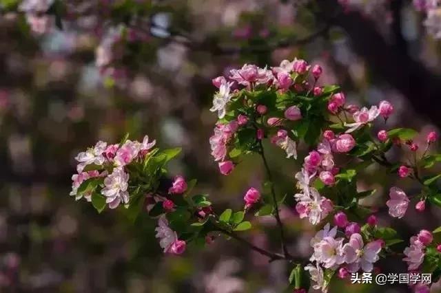 听书荡气回肠的诗词,十首堪称神转折的经典诗词