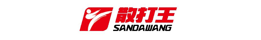王友唐谈武术视频,王友唐评价武术