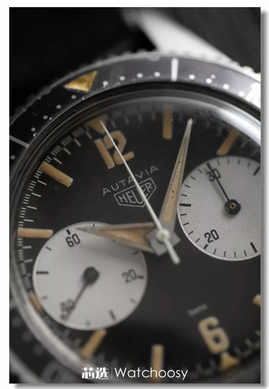 豪雅历史简介,豪雅octavia复刻版