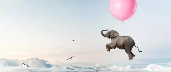 你是几月生的就代表你是什么动物,出生日期决定你是什么动物