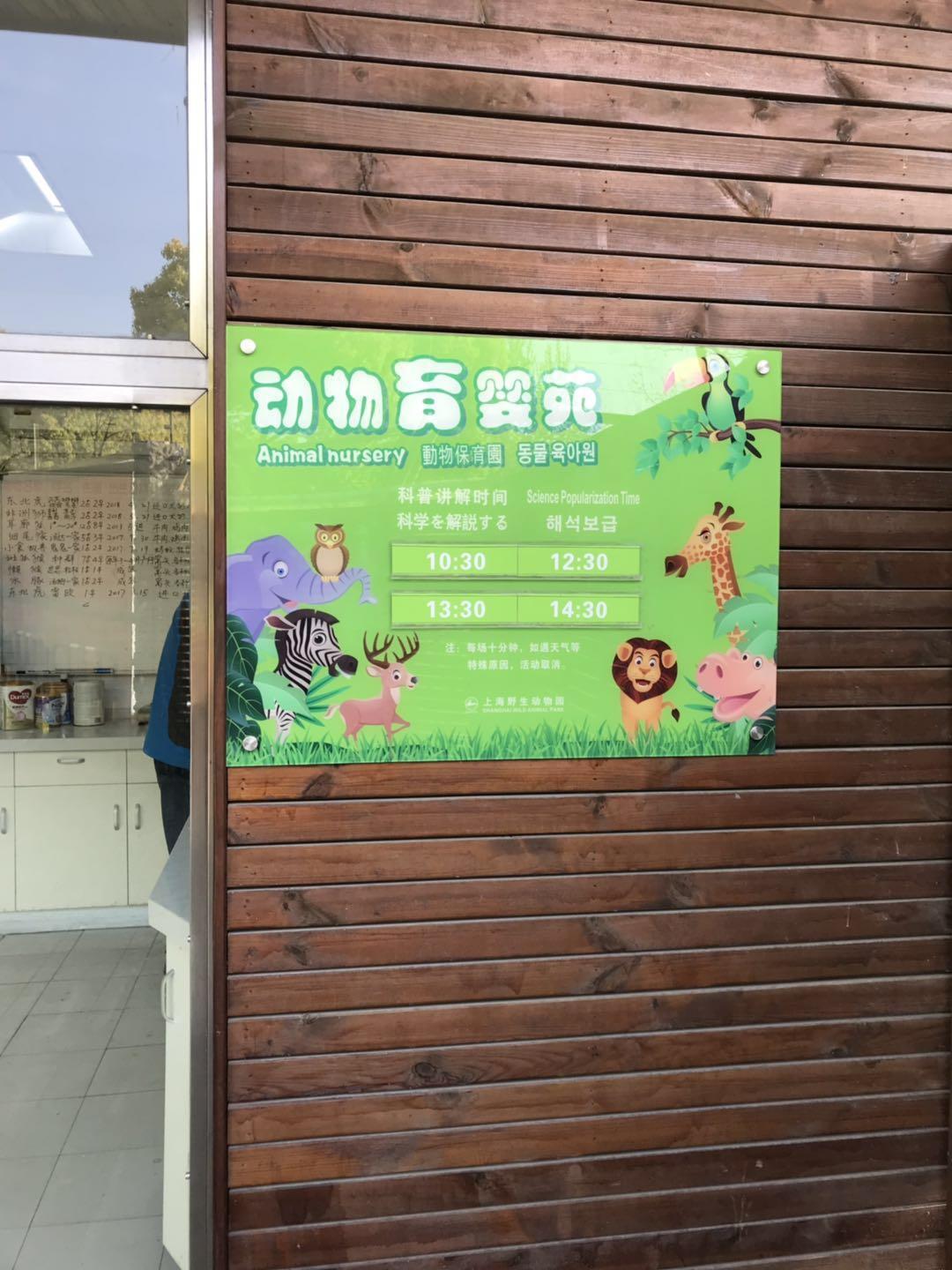 上海野生动物园太阳广场节目安排,上海野生动物园建议游玩时间