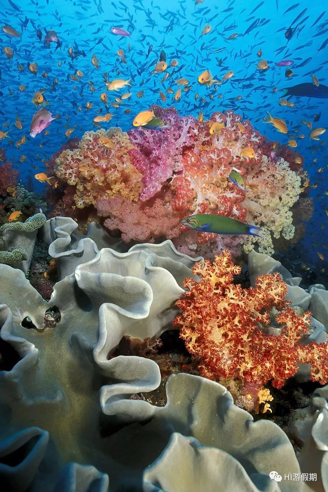 你为什么要去老挝,你为什么要去旅游