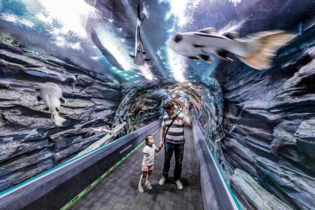 “城中之城”—韩国乐天商业综合体/KPF