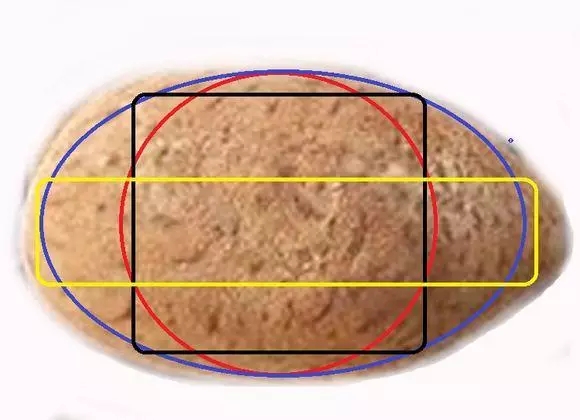 星月菩提的7大基本知识,盘点星月菩提的十大问题建议收藏