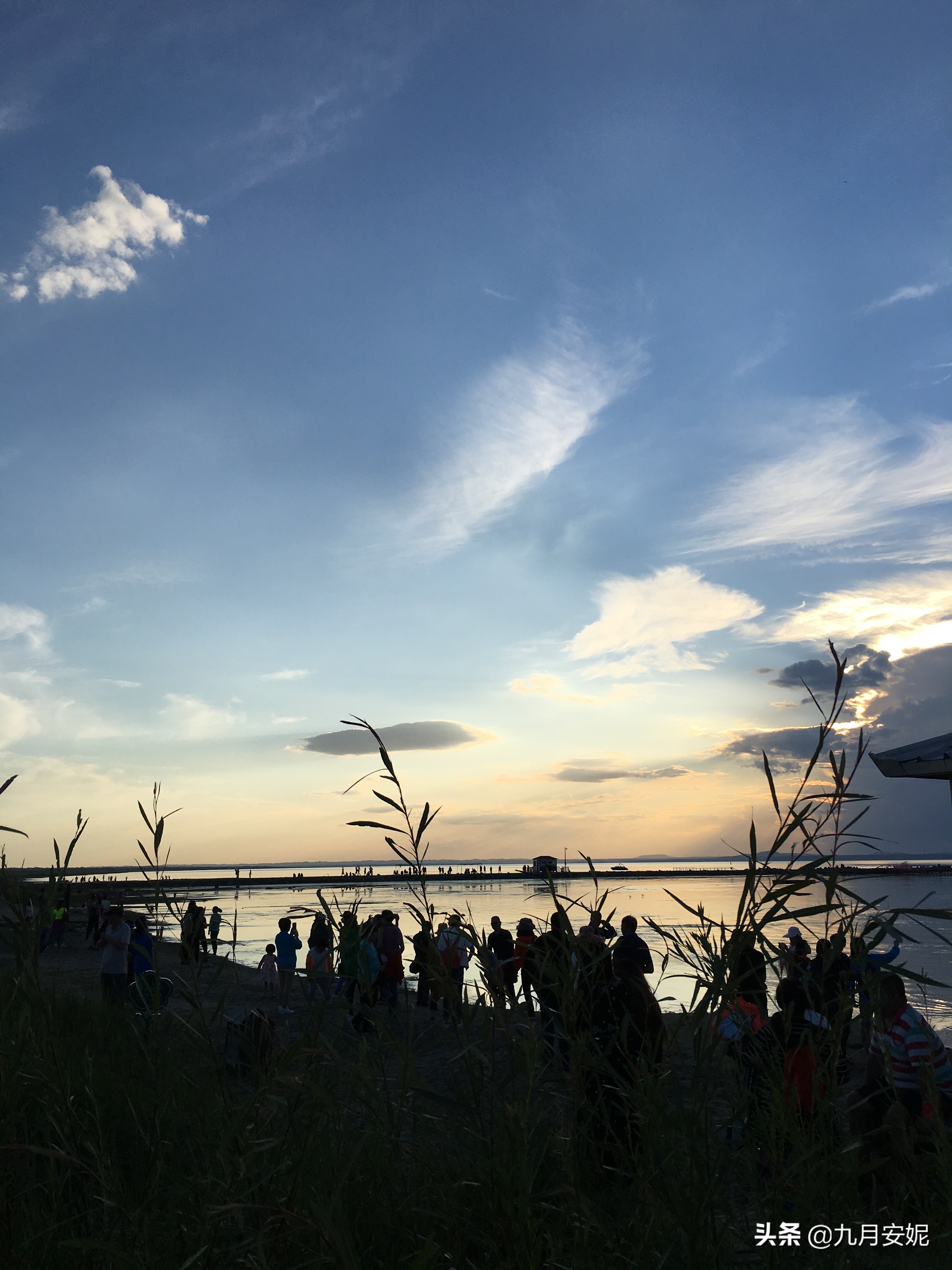 去达里湖看华子鱼洄游,达里诺尔湖华子鱼洄游在哪里