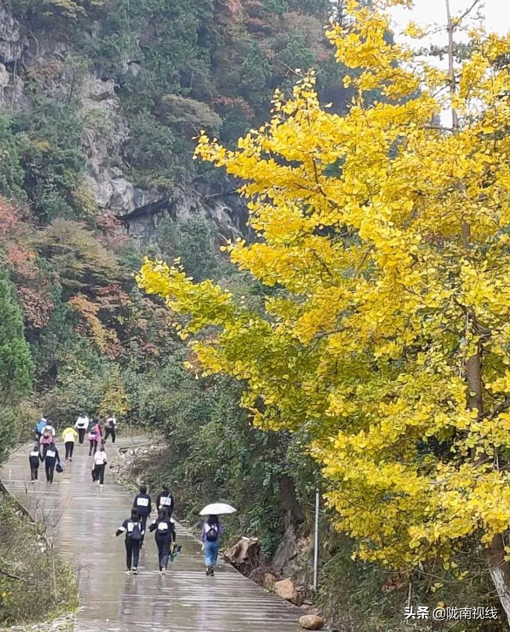 闄囧崡椋庡摜璧勮,椋庡摜寰掓鐩存挱