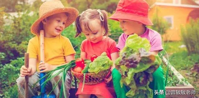 孩子很不听话该如何去教,专家教你5分钟教育不听话孩子