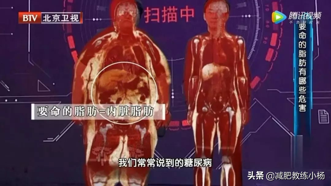 内脏脂肪多怎么减最快,顽固脂肪和内脏脂肪怎么减