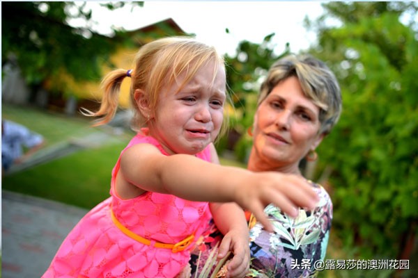 最震撼的分享丨美国哈佛大学：如何帮助患有分离焦虑症的孩子？
