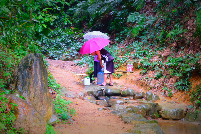 云浮南山森林公园锦鸡,云浮南山森林公园航拍
