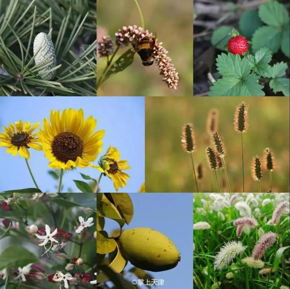 天津大学化工亚洲第一,天津大学化工专业在全国排名第几