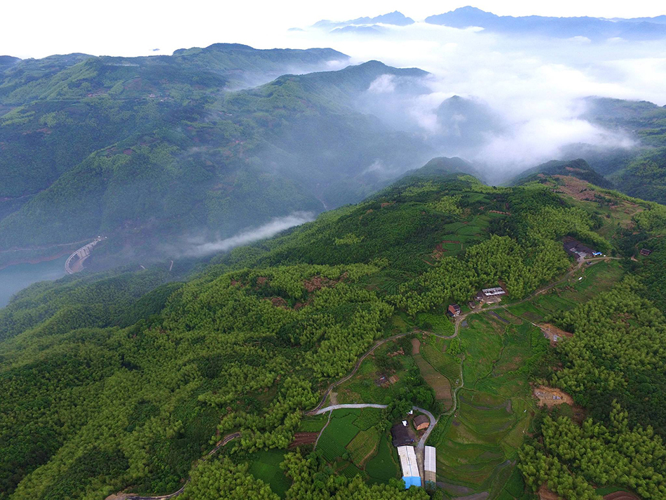 国际足联最新报道,国际足联和欧足联发表声明