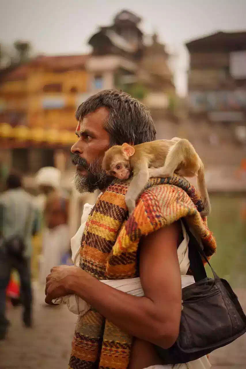 印度大壶节天衣派照片,印度天衣派大壶节纪录片
