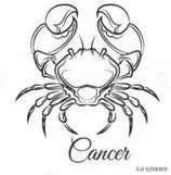 12星座艺术品味,十二星座品味特点